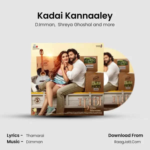 Kadai Kannaaley MP3 Song by D.Imman Cover