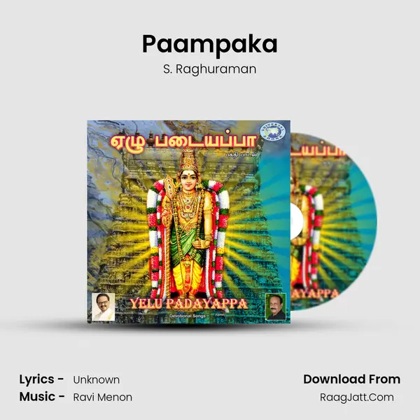 Paampaka MP3 Song by S. Raghuraman Cover