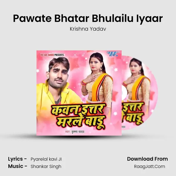 Pawate Bhatar Bhulailu Iyaar MP3 Song by Krishna Yadav Cover