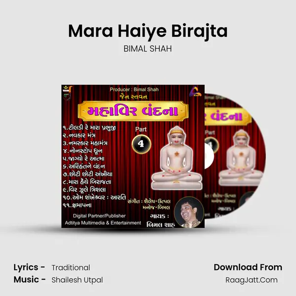 Mara Haiye Birajta MP3 Song by BIMAL SHAH Cover