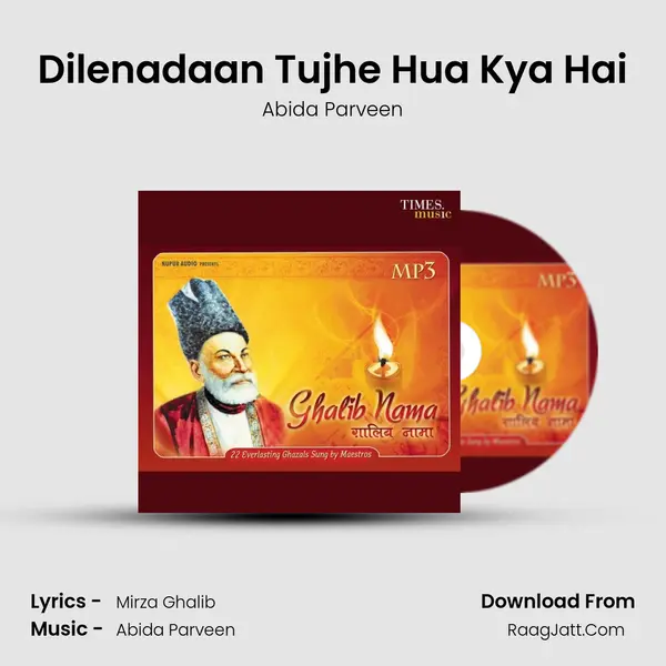 Dilenadaan Tujhe Hua Kya Hai MP3 Song by Abida Parveen Cover
