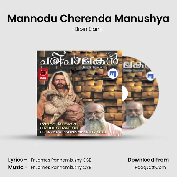 Mannodu Cherenda Manushya MP3 Song by Bibin Elanji Cover
