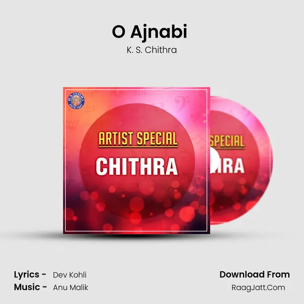 O Ajnabi (Sad) Cover