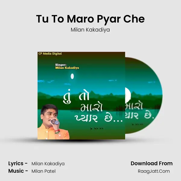 Tu To Maro Pyar Che mp3 song