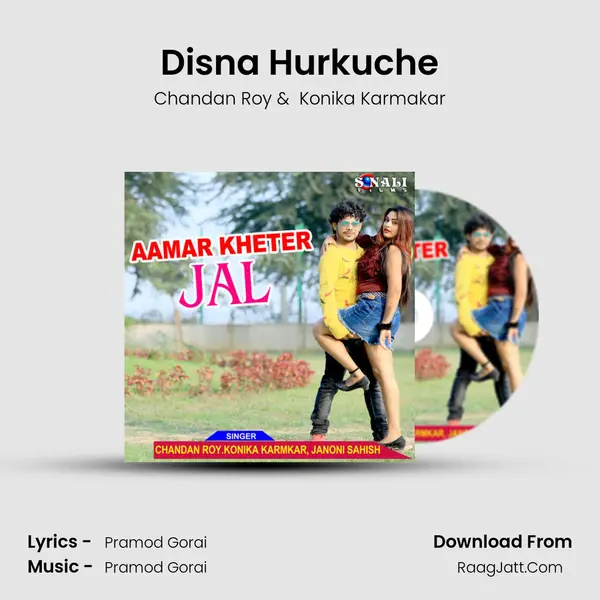 Disna Hurkuche mp3 song