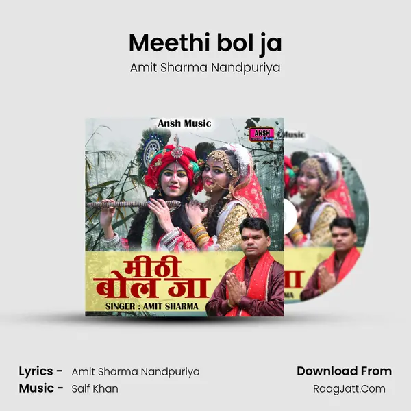 Amit Sharma Nandpuriya