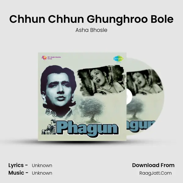 Chhun Chhun Ghunghroo Bole Cover