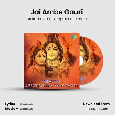 Durga Chalisa And Other Bhajans And Aarti - Raghunath Seth