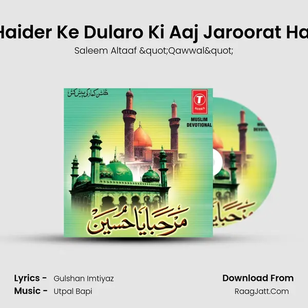 Haider Ke Dularo Ki Aaj Jaroorat Hai MP3 Song by Saleem Altaaf "Qawwal" Cover