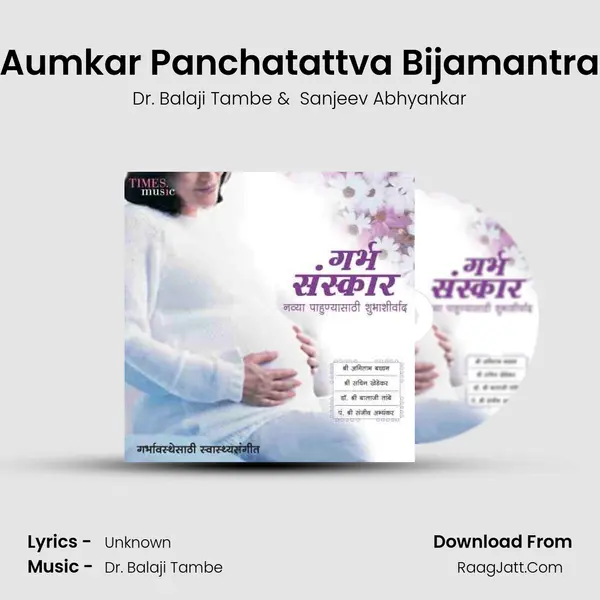 Aumkar Panchatattva Bijamantra MP3 Song by Dr. Balaji Tambe Cover
