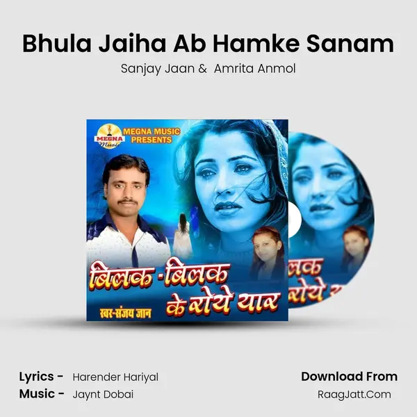 Bhula Jaiha Ab Hamke Sanam MP3 Song by Sanjay Jaan Cover