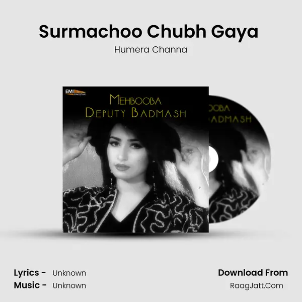 Surmachoo Chubh Gaya (From 