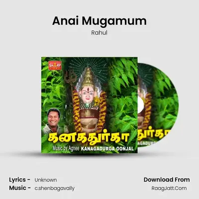 Anai Mugamum MP3 Song by Rahul Cover