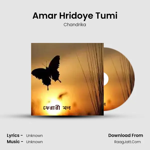 Amar Hridoye Tumi Cover