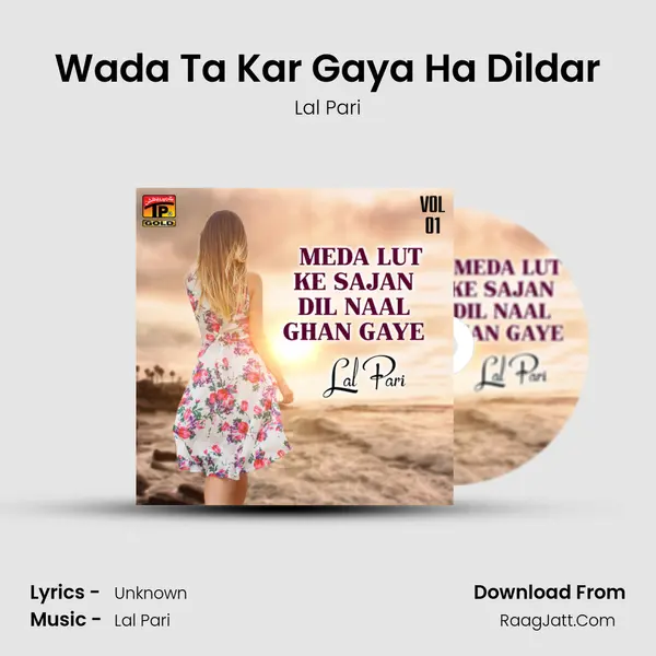 Wada Ta Kar Gaya Ha Dildar MP3 Song by Lal Pari Cover