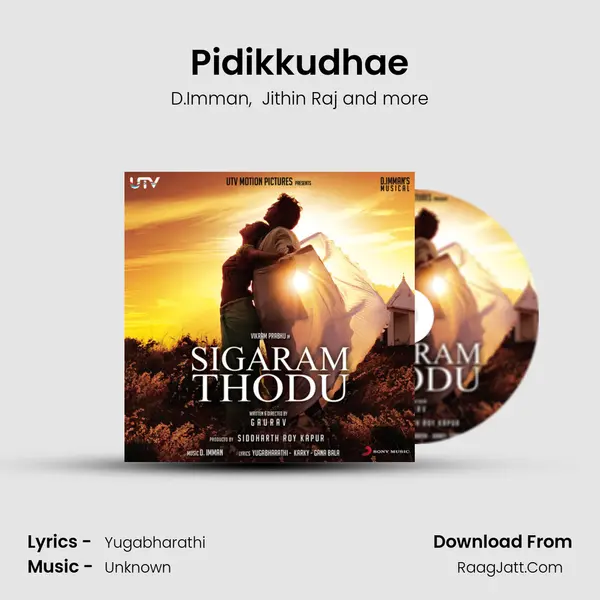Pidikkudhae MP3 Song by D.Imman Cover