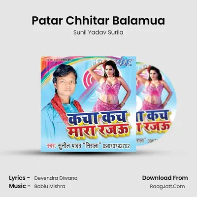 Patar Chhitar Balamua MP3 Song by Sunil Yadav Surila Cover