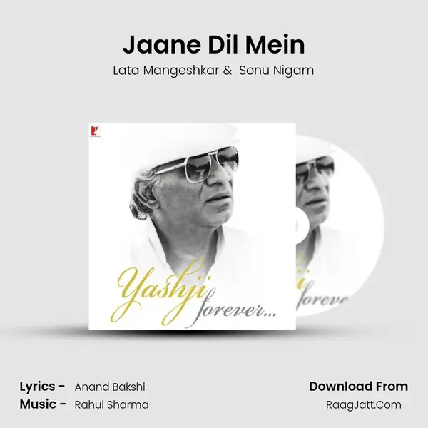 Jaane Dil Mein Cover