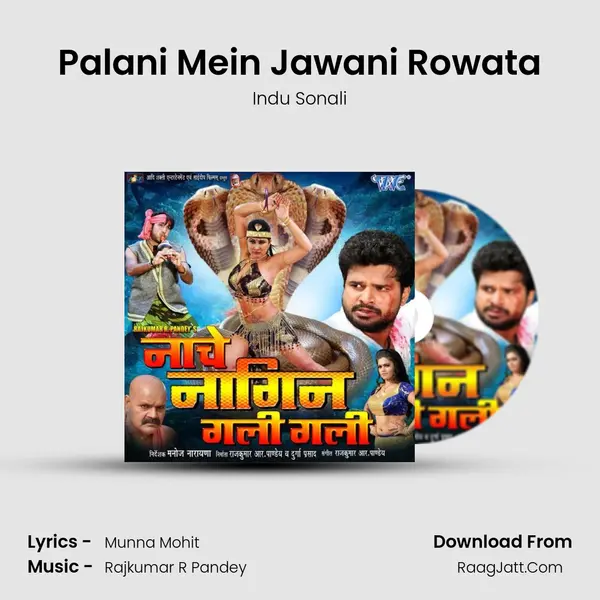 Palani Mein Jawani Rowata MP3 Song by Indu Sonali Cover