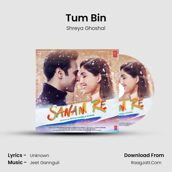 Tum Bin MP3 Song by Shreya Ghoshal Cover