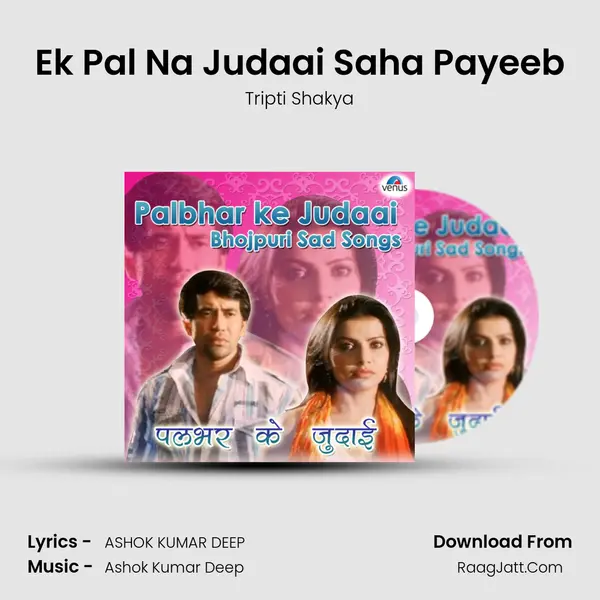 Ek Pal Na Judaai Saha Payeeb Cover
