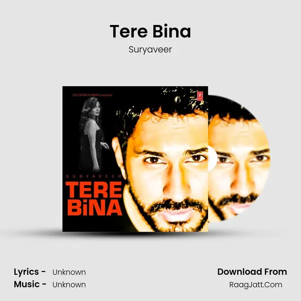 Tere Bina mp3 song