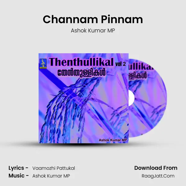 Channam Pinnam MP3 Song by Ashok Kumar MP Cover