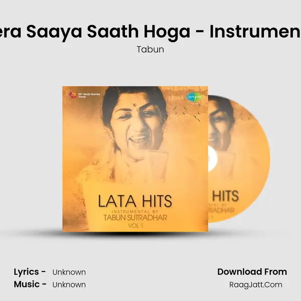 Mera Saaya Saath Hoga - Instrumental MP3 Song by Tabun Cover