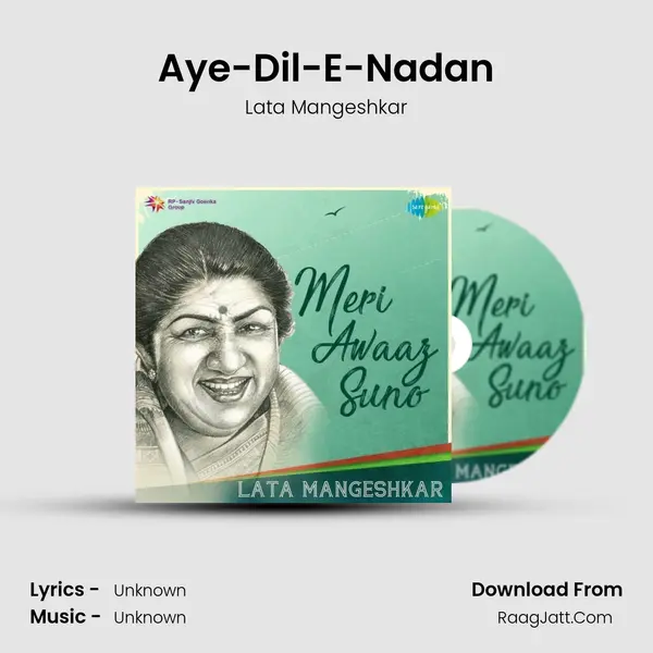 Aye-Dil-E-Nadan Cover