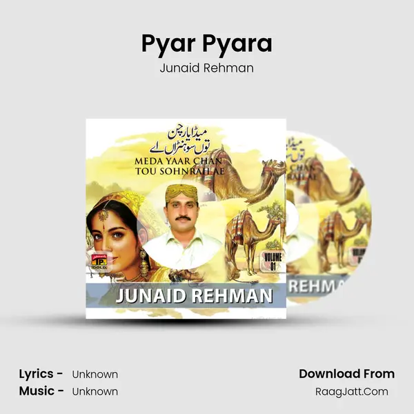 Pyar Pyara MP3 Song by Junaid Rehman Cover