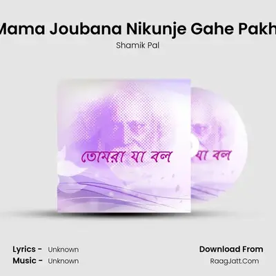 Mama Joubana Nikunje Gahe Pakhi MP3 Song by Shamik Pal Cover