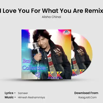 I Love You For What You Are Remix MP3 Song by Alisha Chinai Cover