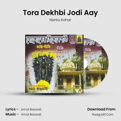Tora Dekhbi Jodi Aay MP3 Song by Nantu Kahar Cover