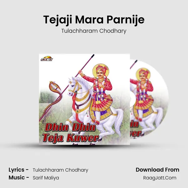 Tejaji Mara Parnije MP3 Song by Tulachharam Chodhary Cover