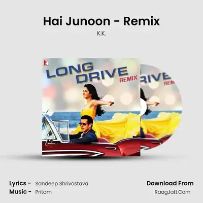 Hai Junoon - Remix MP3 Song by K.K. Cover