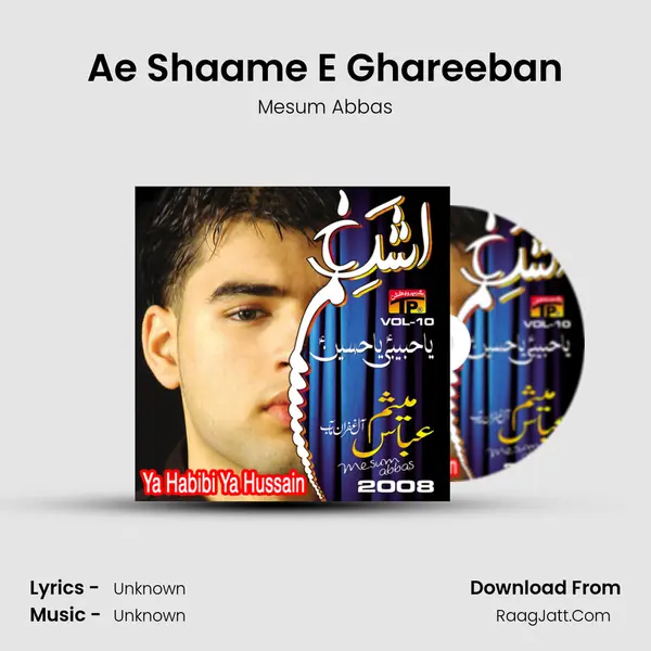 Ae Shaame E Ghareeban MP3 Song by Mesum Abbas Cover