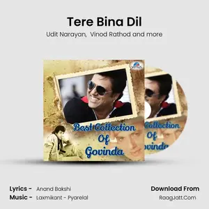 Tere Bina Dil Cover