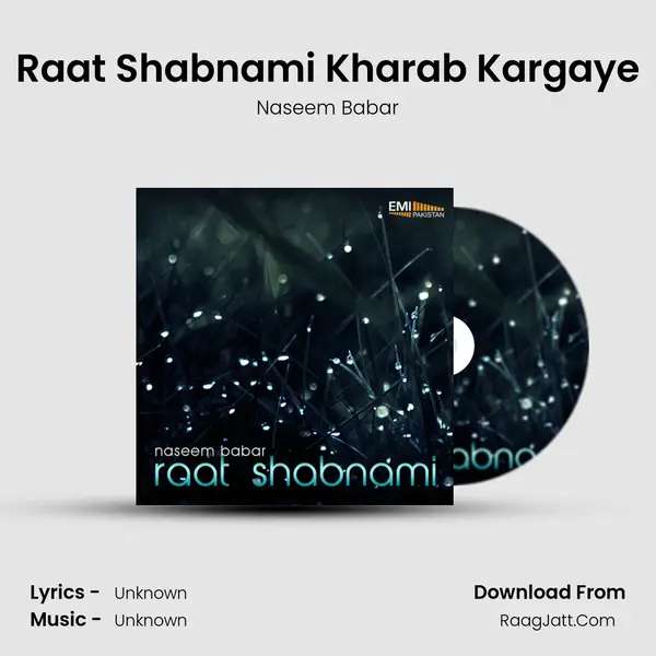 Raat Shabnami Kharab Kargaye MP3 Song by Naseem Babar Cover