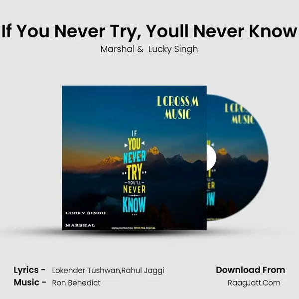 If You Never Try, You&#x27;ll Never Know mp3 song