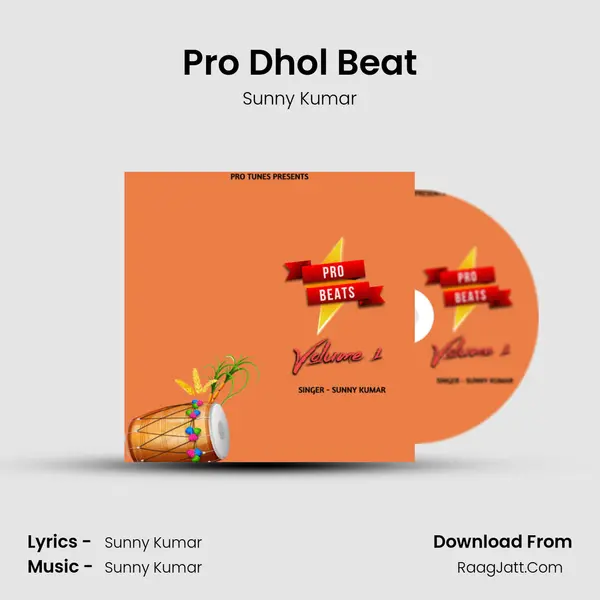 Pro Dhol Beat mp3 song
