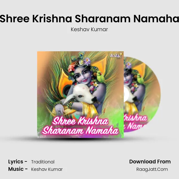 Shree Krishna Sharanam Namaha mp3 song