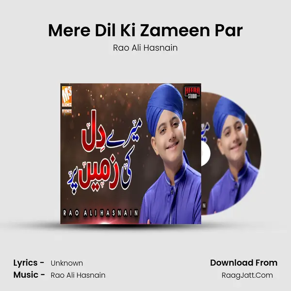 Mere Dil Ki Zameen Par - Single - Rao Ali Hasnain