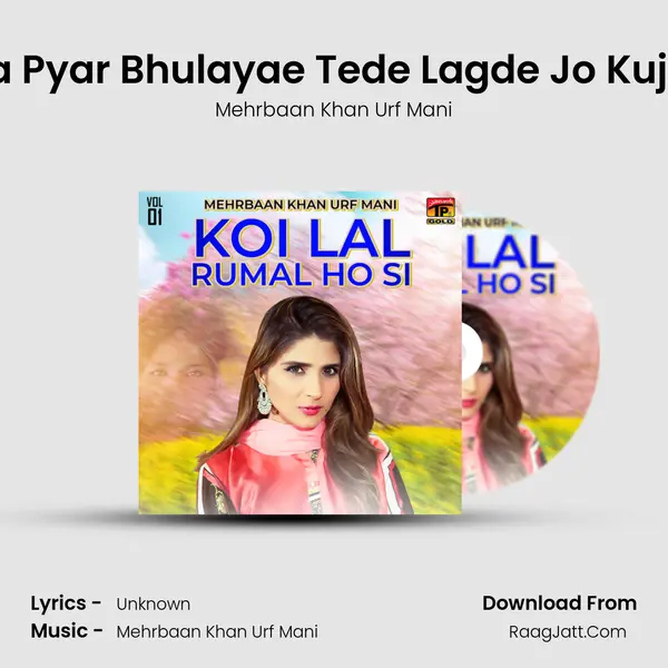 Sada Pyar Bhulayae Tede Lagde Jo Kujh Na MP3 Song by Mehrbaan Khan Urf Mani Cover