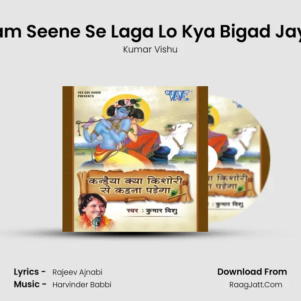 Shyam Seene Se Laga Lo Kya Bigad Jayega MP3 Song by Kumar Vishu Cover