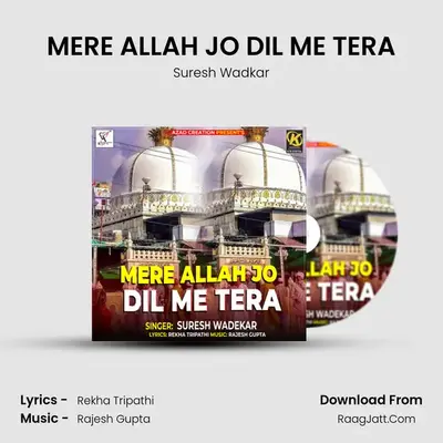 MERE ALLAH JO DIL ME TERA - 