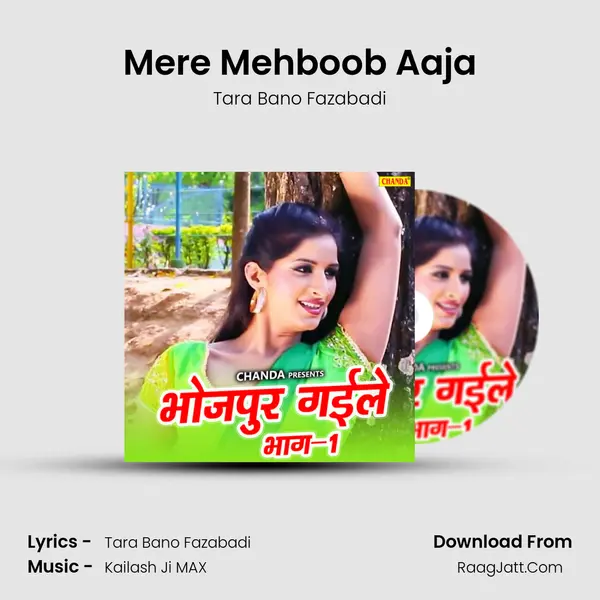 Mere Mehboob Aaja MP3 Song by Tara Bano Fazabadi Cover
