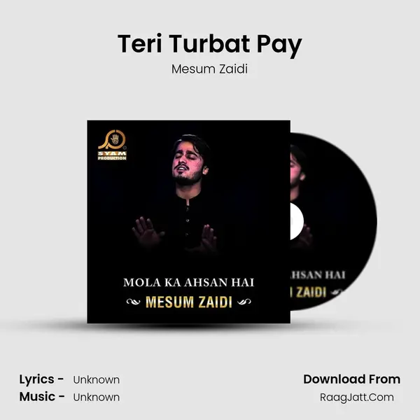 Teri Turbat Pay MP3 Song by Mesum Zaidi Cover