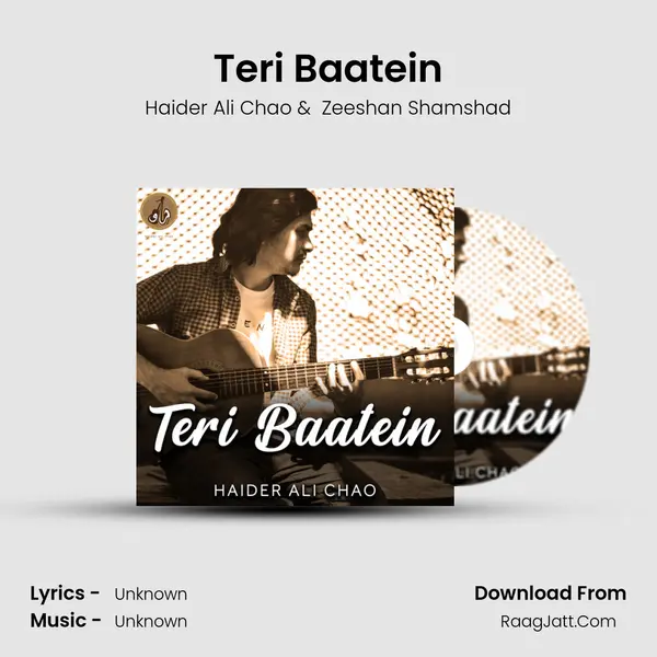 Teri Baatein MP3 Song by Haider Ali Chao Cover