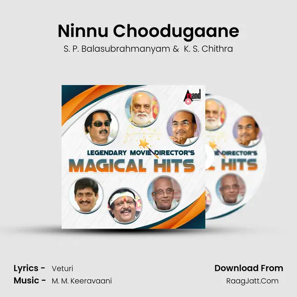 Ninnu Choodugaane MP3 Song by S. P. Balasubrahmanyam Cover