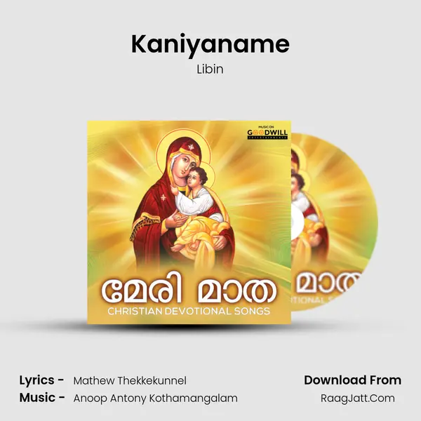 Kaniyaname MP3 Song by Libin Cover